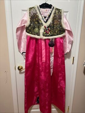 Traditional Pink and Green Satin Maxi Dress with Embroidered Vest